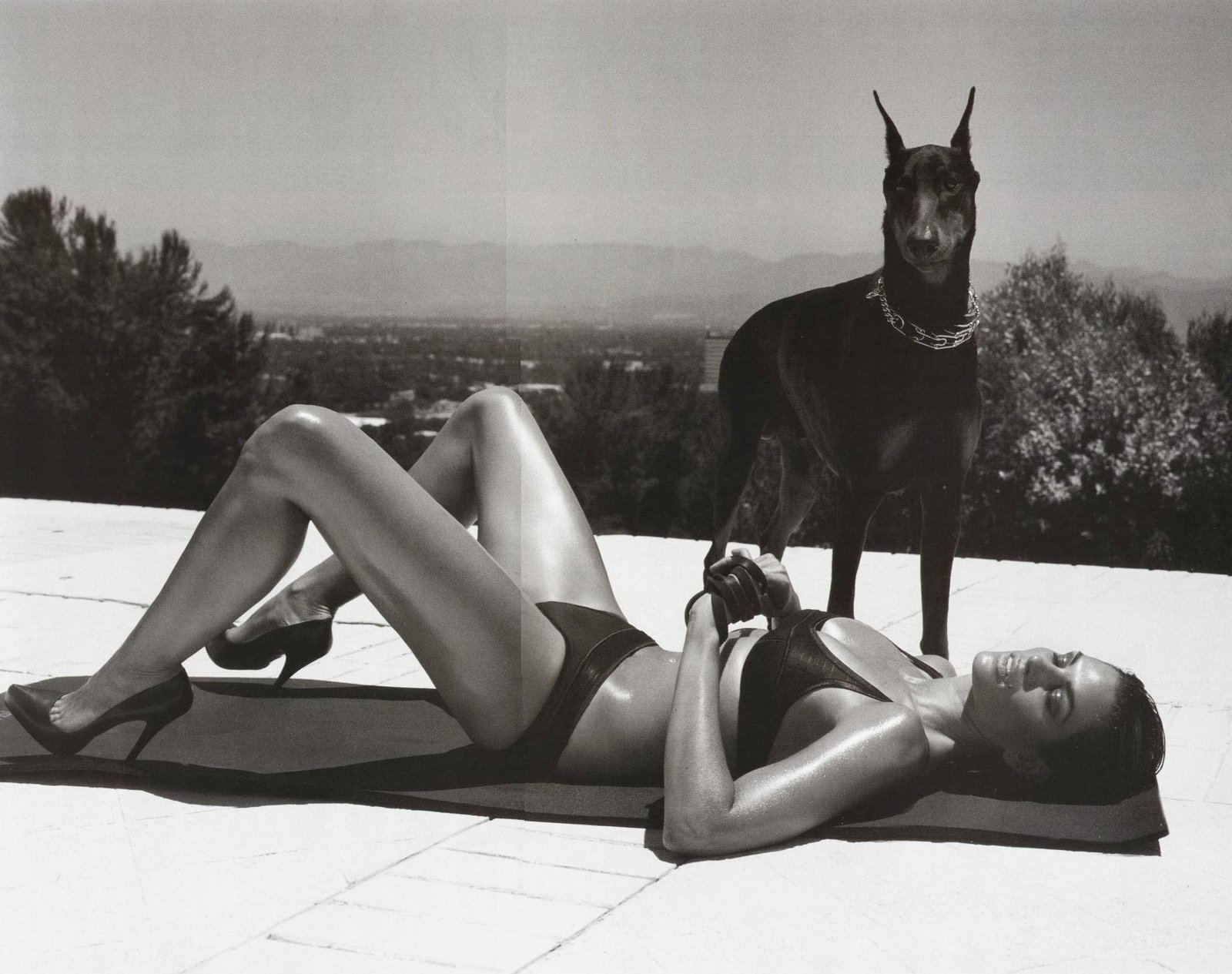 helmut newton 1