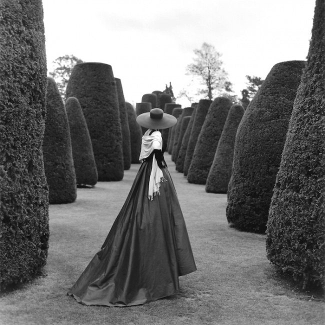 rodney smith 1