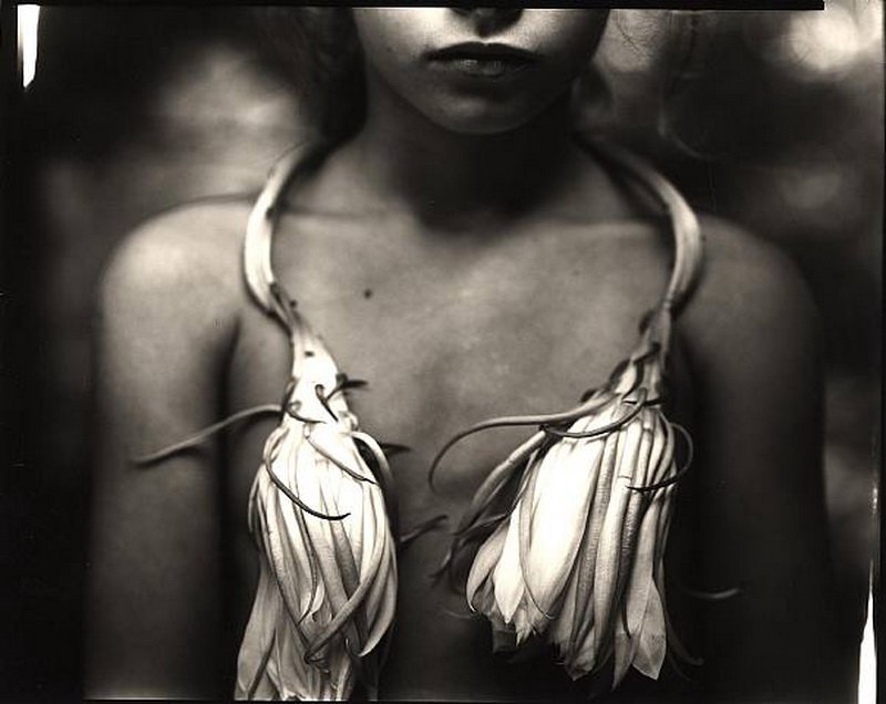 vdohnovenie sally mann 1