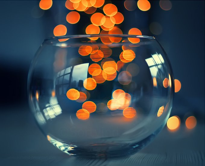 Bokeh Photography6